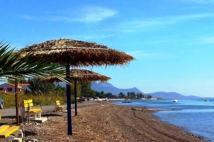 Realty photo 1