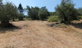 Land 4500 m² in Corfu