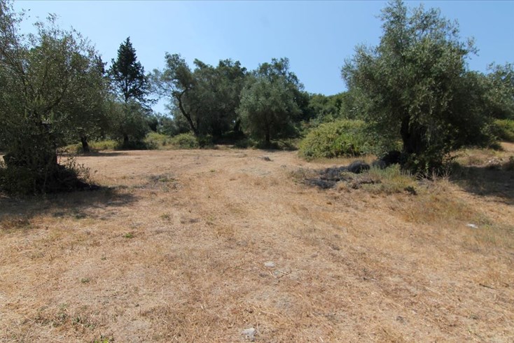 Realty photo 1