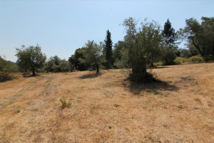 Realty photo 3