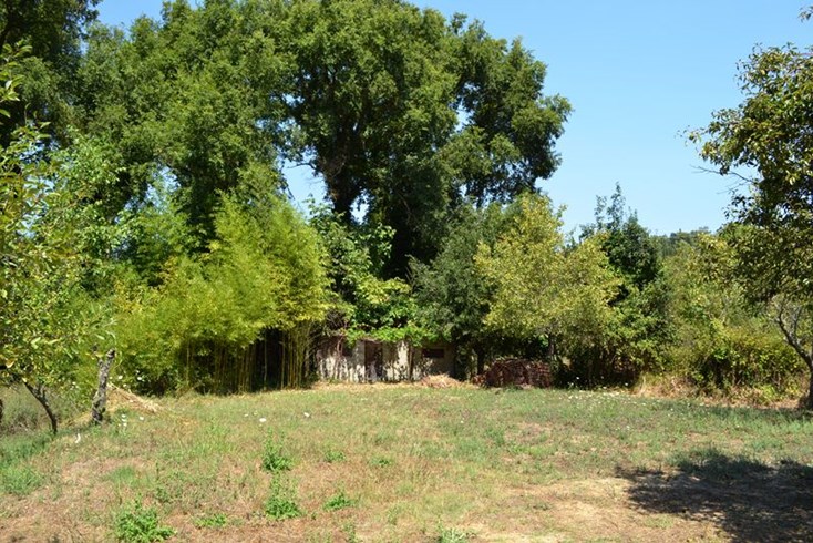 Realty photo 3