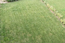 Property 2553 photo 16
