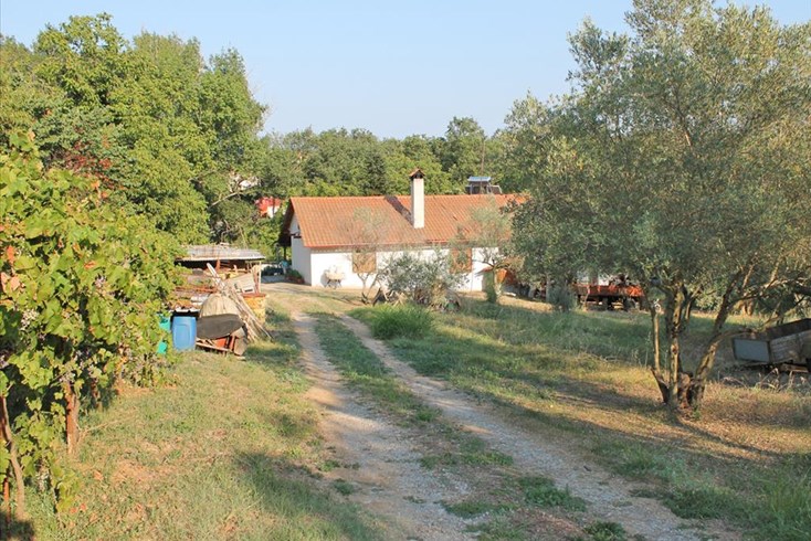 Realty photo 1