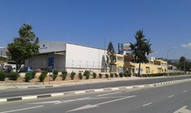 Business 1566 m² in Limassol