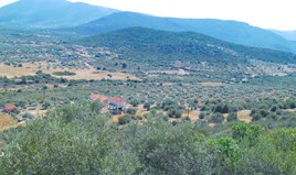 հողատարածք 750 m² Էվիա կղզում