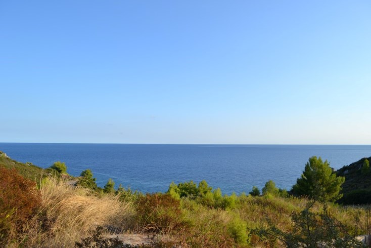 Realty photo 1
