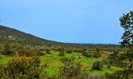 Land 37459 m² in Paphos