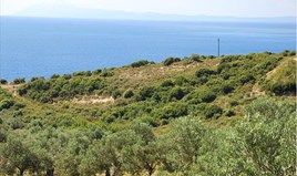 Land 50000 m² in Kavala