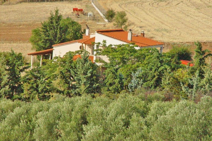 Realty photo 2
