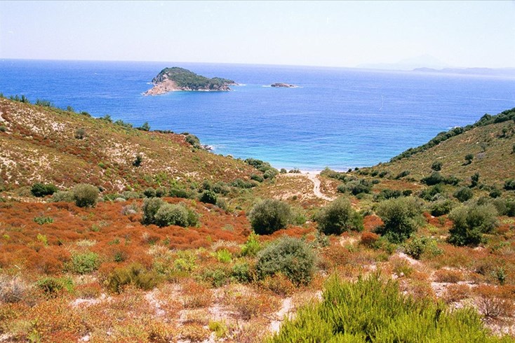 Realty photo 1