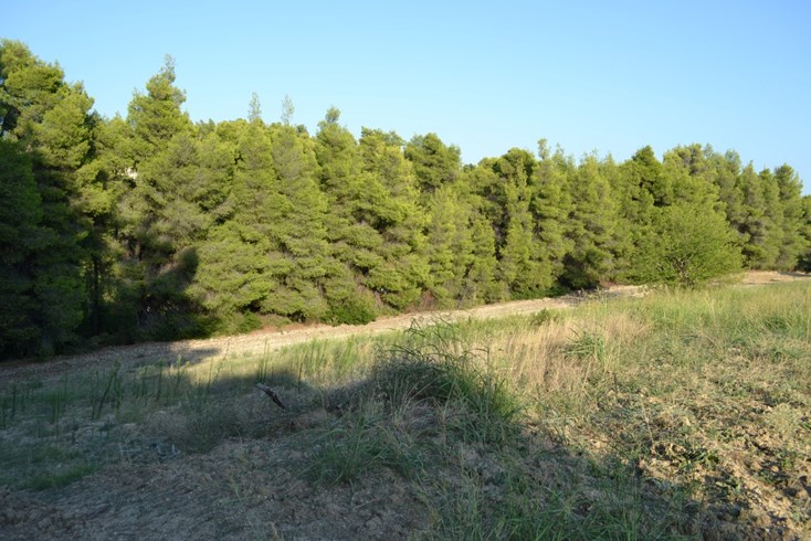 Realty photo 2