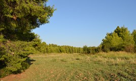 Land 5800 m² in Kassandra, Chalkidiki