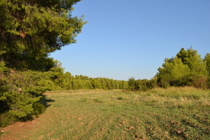 Realty photo 1