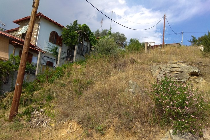Realty photo 2