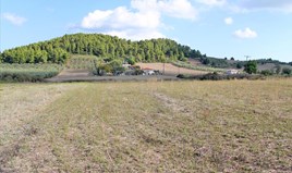 Land 7500 m² in Kassandra, Chalkidiki