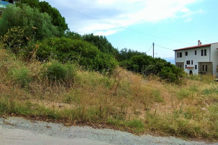 Realty photo 3