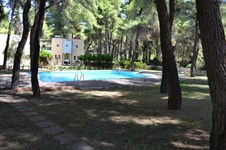 Property 25856 photo 16