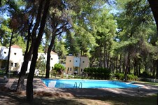 Property 25856 photo 17