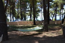 Property 25856 photo 19