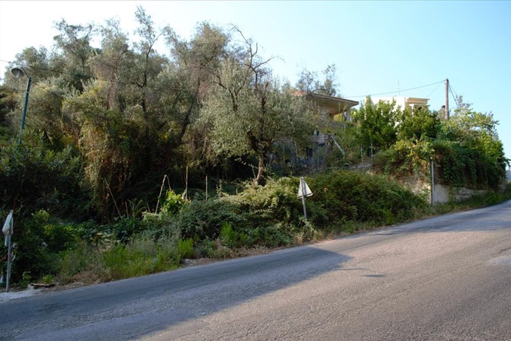 Realty photo 2