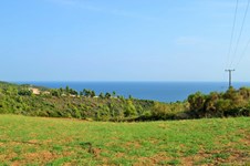 Property 25885 photo 1