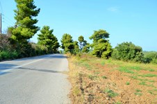 Property 25885 photo 2