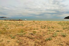 Property 25897 photo 14