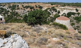 Парцел 18000 m² на Крит