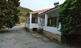Business 300 m² on the island of Thassos