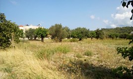 Land 2800 m² in Kassandra, Chalkidiki