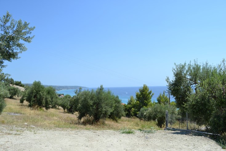Realty photo 2