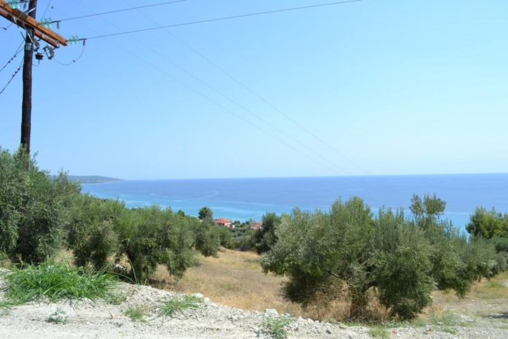 Realty photo 3