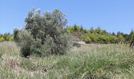 Land 2550 m² in Kassandra, Chalkidiki