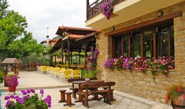 ვილა 400 m² სიტონიაზე ( ქალკიდიკი)