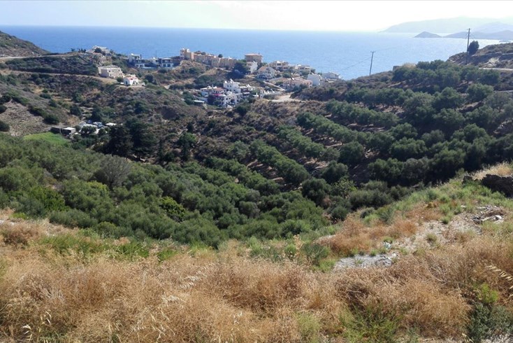 Realty photo 3