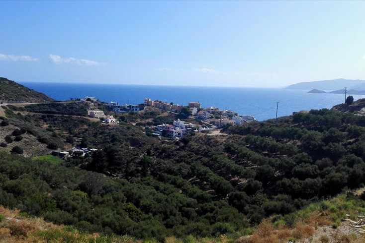 Realty photo 1