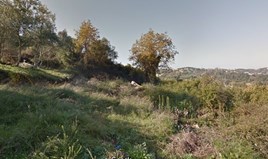 Land 17600 m² auf Korfu