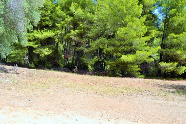 Realty photo 2