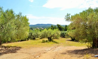 სასტუმრო 10000 m² კასანდრაზე (ქალკიდიკი)