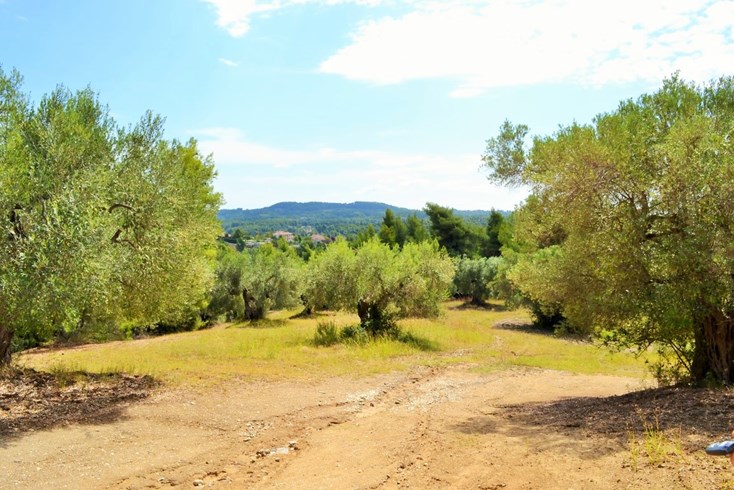 Realty photo 1