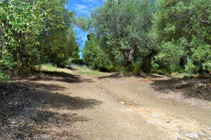 Realty photo 3