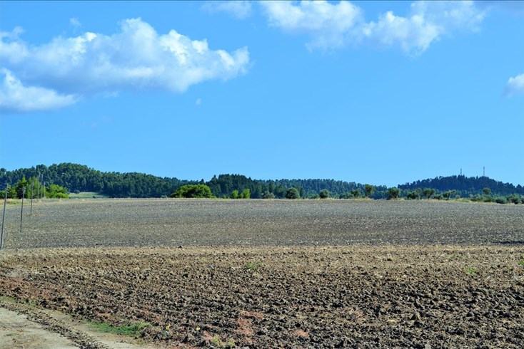 Realty photo 2