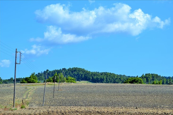 Realty photo 1