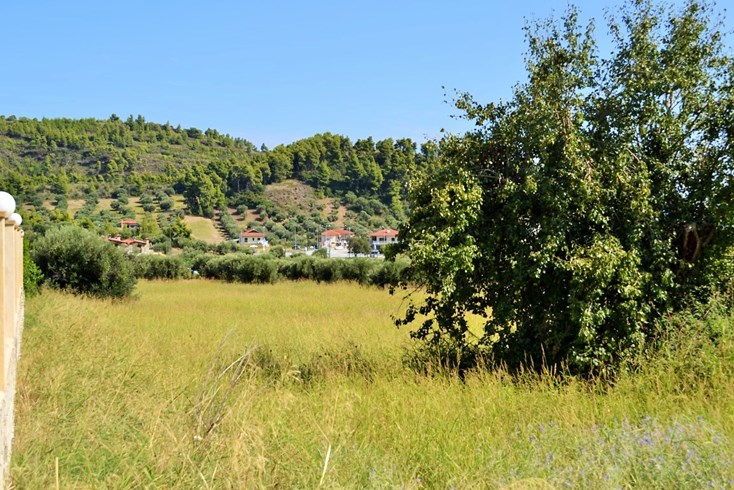 Realty photo 3