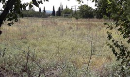 Земельна ділянка 5908 m² в Салоніках