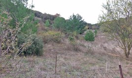 հողատարածք Սալոնիկում
