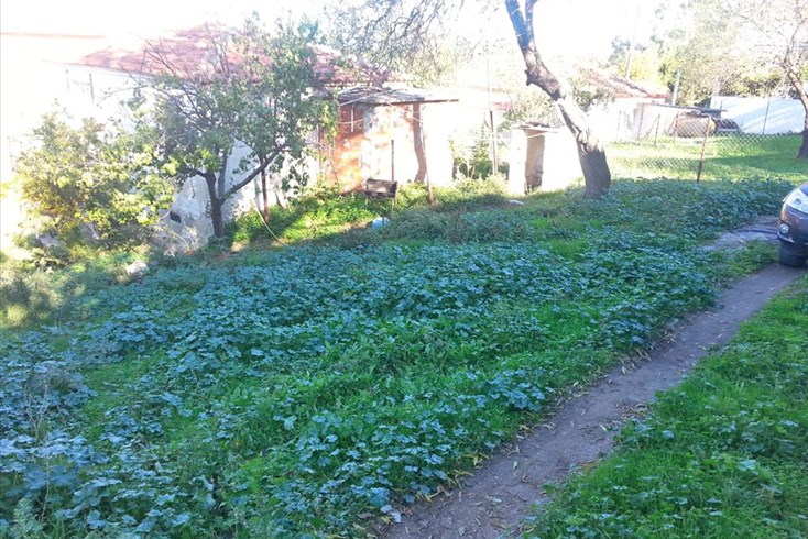 Realty photo 3