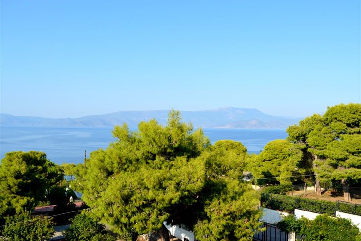 Realty photo 2