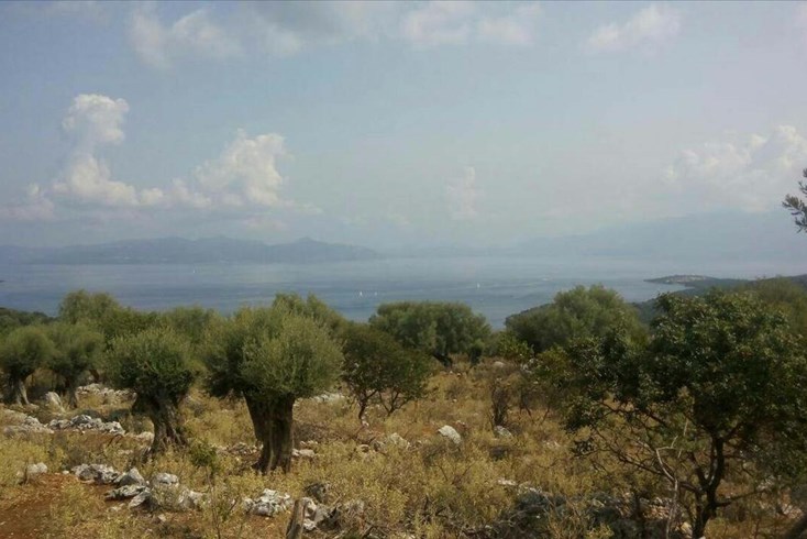 Realty photo 2