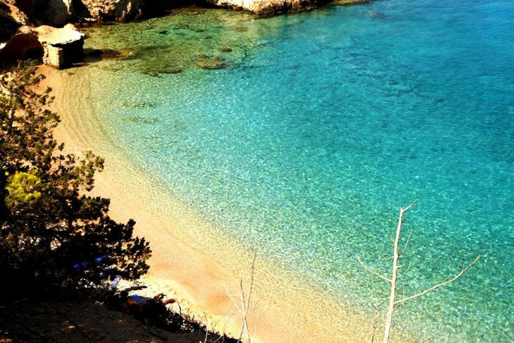 Realty photo 1
